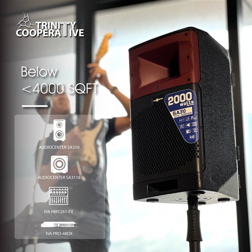 pa-sound-system-for-big-cafe-restaurant-audiocenter-sa310-sa3118